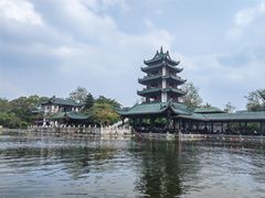 -桂湖森林公园