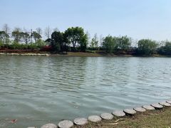 -南翔镇银翔湖公园