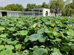 -费孝通江村纪念馆