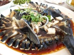 豆豉蒸鲟鱼-京北渔家傲