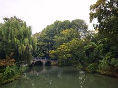 -红梅公园