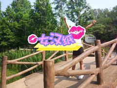 -白水寺森林公园