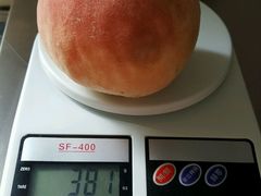-上海市长春食品商店(淮海中路店)