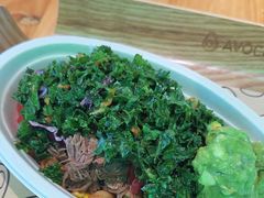 -油梨树AVOCADO TREE(望京店)