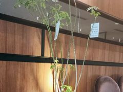-西堤牛排(南京龙江店)