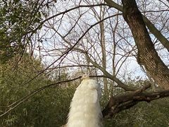 -宁波野生动物园