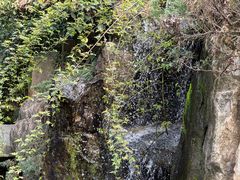 -中国茶叶博物馆(双峰馆区)