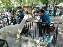 -蓝可可亲子乐园(北苑店)