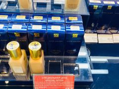 -谢列梅捷沃国际机场