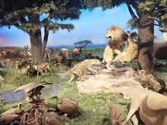 -国家自然博物馆