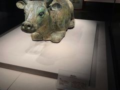 -宁夏博物馆