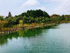 -上海怡沁园度假酒店