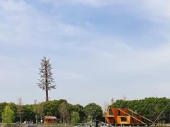 -广富林郊野公园