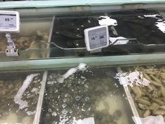 -盒马渔市餐厅
