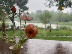 -Supine Bistro溯泮餐厅