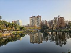 -四海公园(南山区)