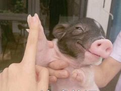 -苏州独墅湖书香世家酒店