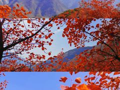 -沉浸北京·团建旅行·密室剧本杀·年会会议轰趴拓展