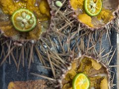 -海胆小馆(东北水饺·春柳店)