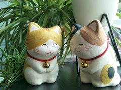 -帝京日语(春熙路旗舰校区)