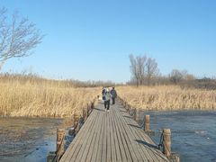 -马家湾湿地公园