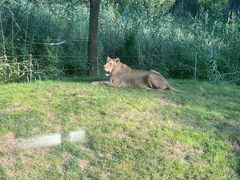 -北京野生动物园