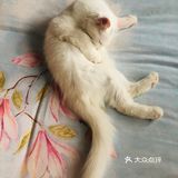 偶尔带湖南的一个同事去吃了一次