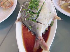 -七鲜渔港美食餐厅(巽寮湾海景店)