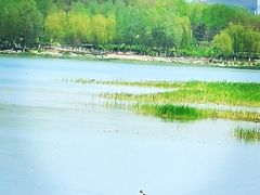 -南海子公园