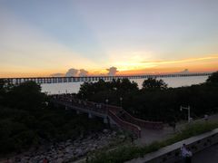 -宝安西湾红树林湿地公园