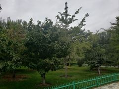 -燕郊植物园