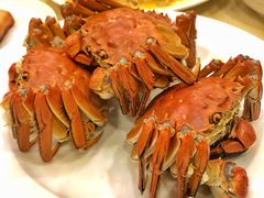 -王宝和酒家(黄浦店)