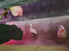-韵秋荷(宝山龙湖天街店)