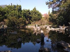 -叶家花园