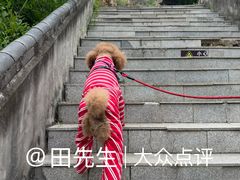 -湖洞水自然风景区