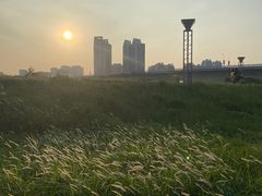 -王借岗森林公园