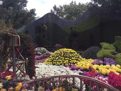 -共青国家森林公园-售票处