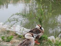 -兰陵国家农业公园