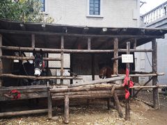 -清风小镇闯关东影视基地