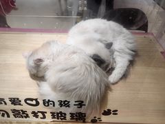 -丽达购物中心(崂山店)
