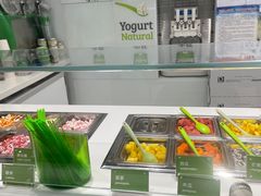 -Salud撒露欧洲冻酸奶(蓝色港湾店)