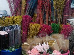 -循礼门鲜花花市(武汉循礼门店)