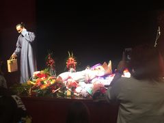 -合肥大剧院