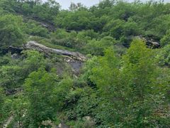 -白河湾生态旅游一条川