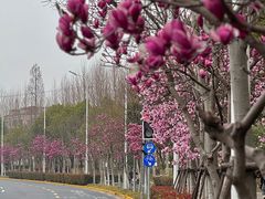 -杨高南路(地铁站)