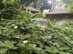 -大妙火锅·非物质文化遗产(东湖公园店)