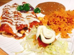 -Cactus墨西哥仙人掌餐厅