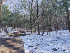 -紫金山山顶公园