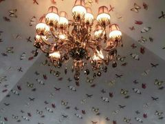 -蝶舍·MAISON PAPILLON