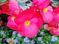 -人民防洪胜利纪念塔